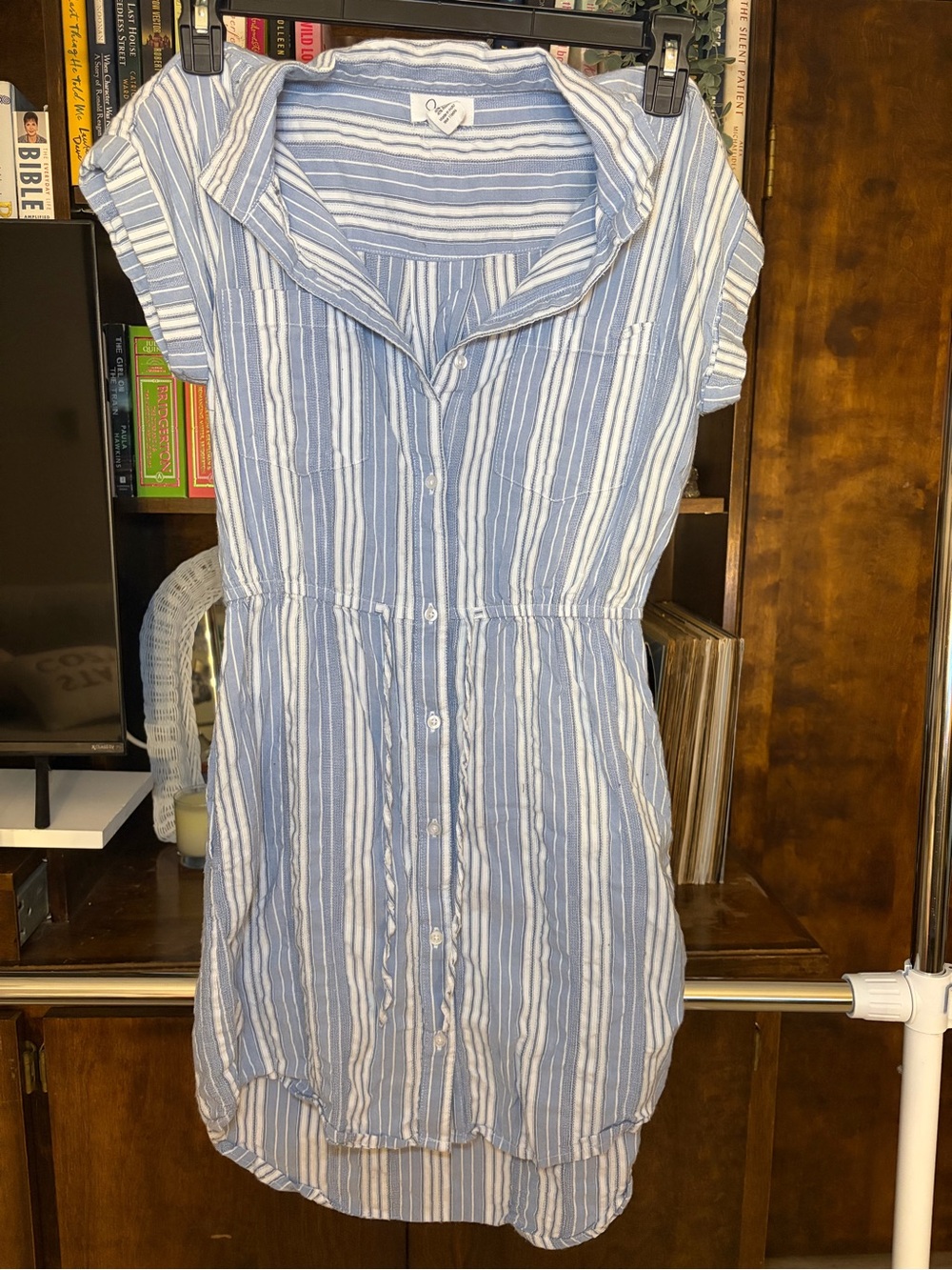 Blue & White Striped Button-Front Shirt Dress